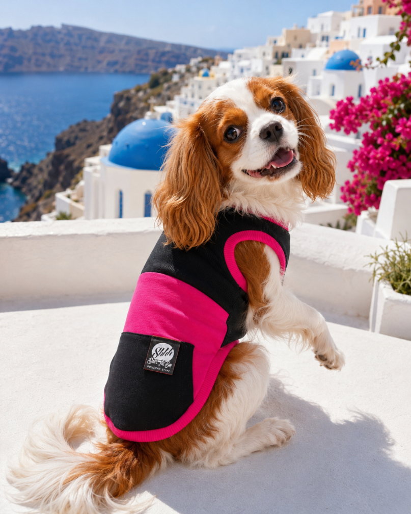 DOGWEAR 1 Black/Fuchsia - Shhh - dres dla Psa
