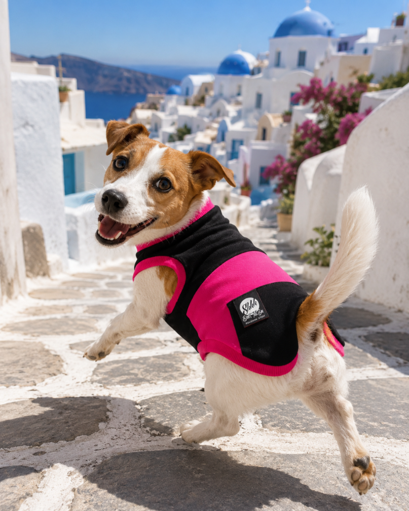 DOGWEAR 1 Black/Fuchsia - Shhh - dres dla Psa