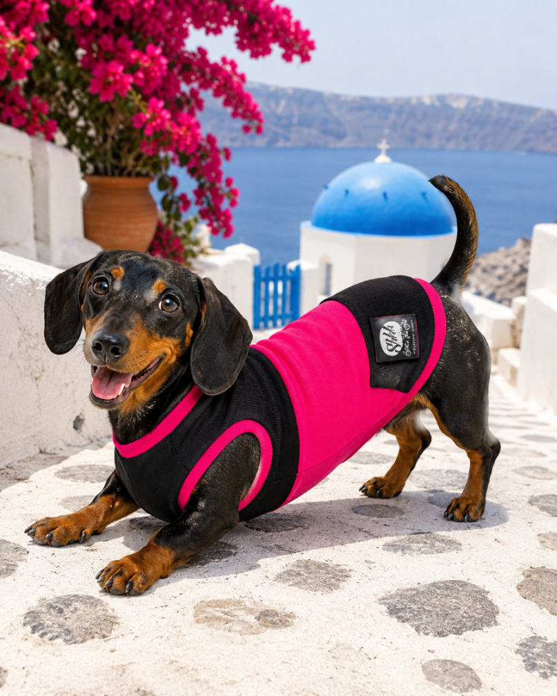 DOGWEAR 1 Black/Fuchsia - Shhh - dres dla Psa