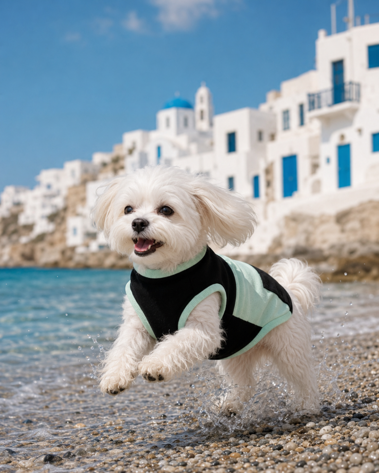 DOGWEAR 1 Black/Pistachio Shhh - dres dla Psa