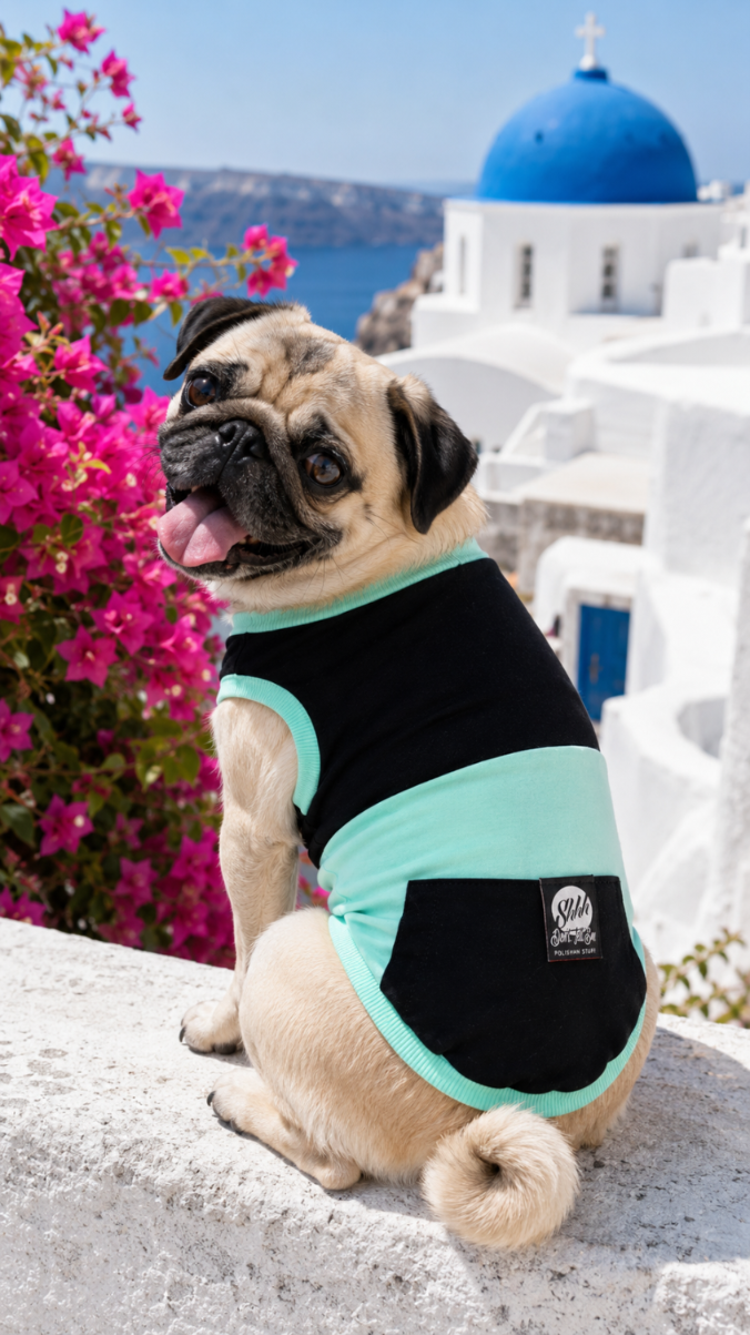 DOGWEAR 1 Black/Pistachio Shhh - dres dla Psa