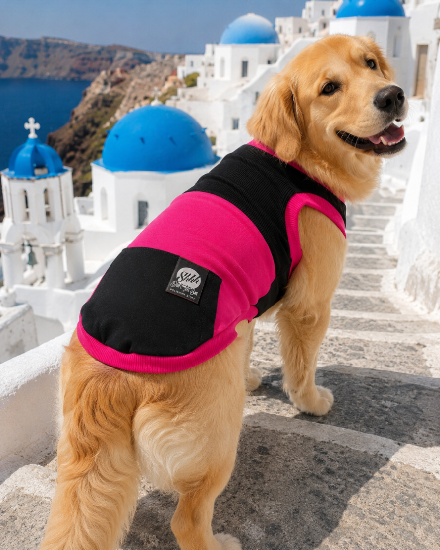 DOGWEAR 1 Black/Fuchsia  - Shhh - dres dla Psa