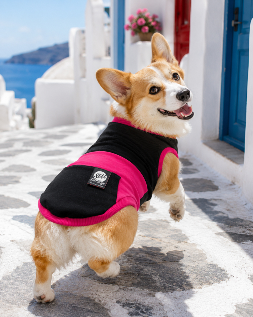 DOGWEAR 1 Black/Fuchsia  - Shhh - dres dla Psa