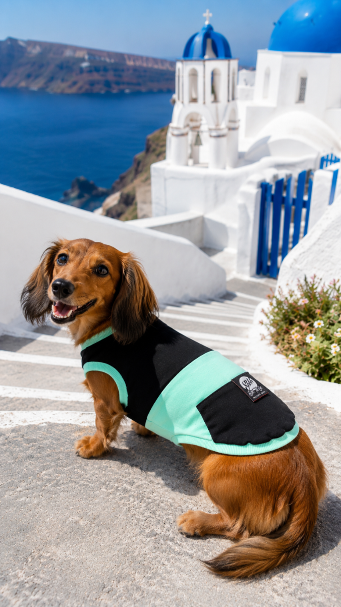 DOGWEAR 1 Black/Pistachio Shhh - dres dla Psa
