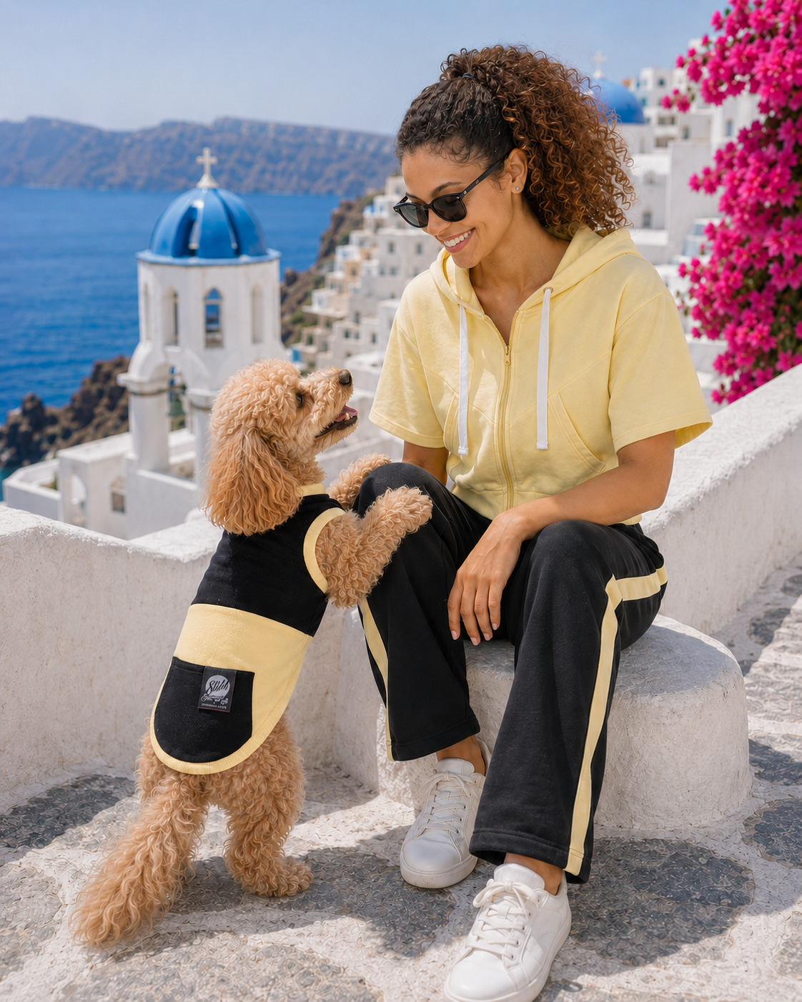 DOGWEAR 1 Black/Yellow Shhh - dres dla Psa