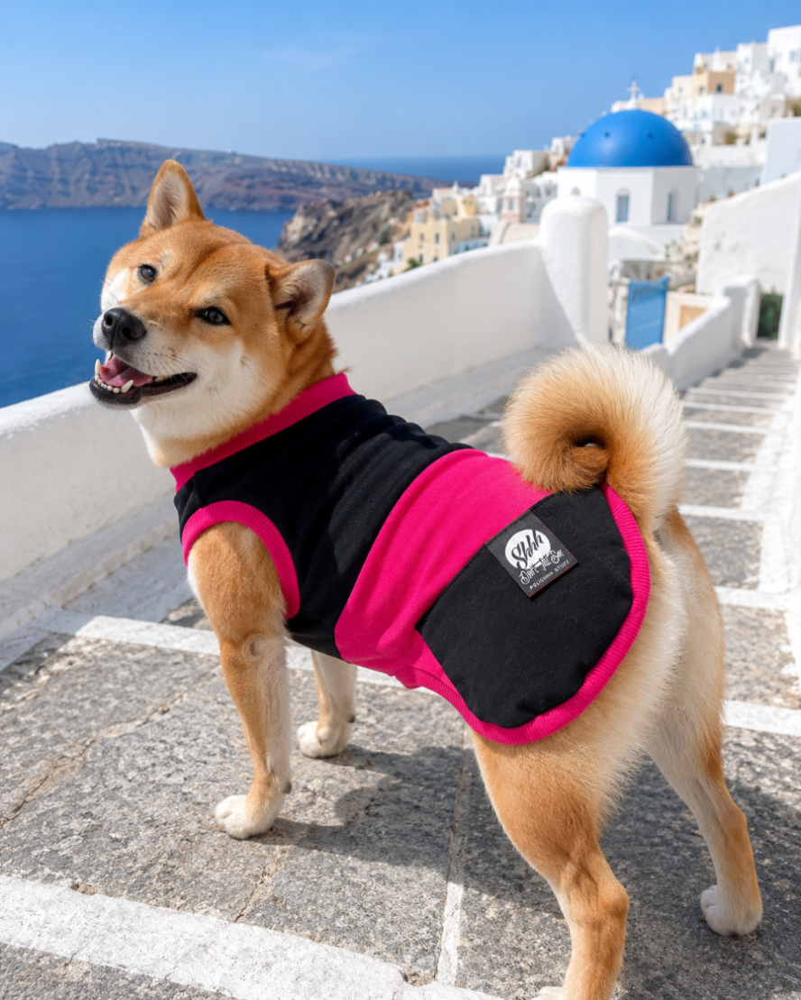 DOGWEAR 1 Black/Fuchsia  - Shhh - dres dla Psa