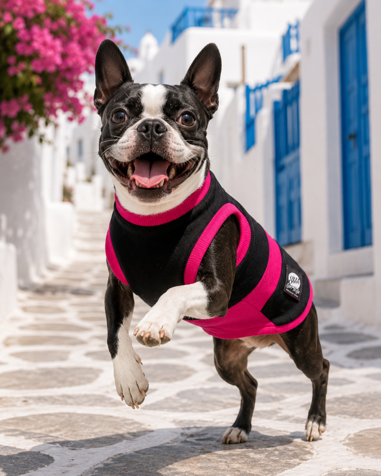 DOGWEAR 1 Black/Fuchsia  - Shhh - dres dla Psa