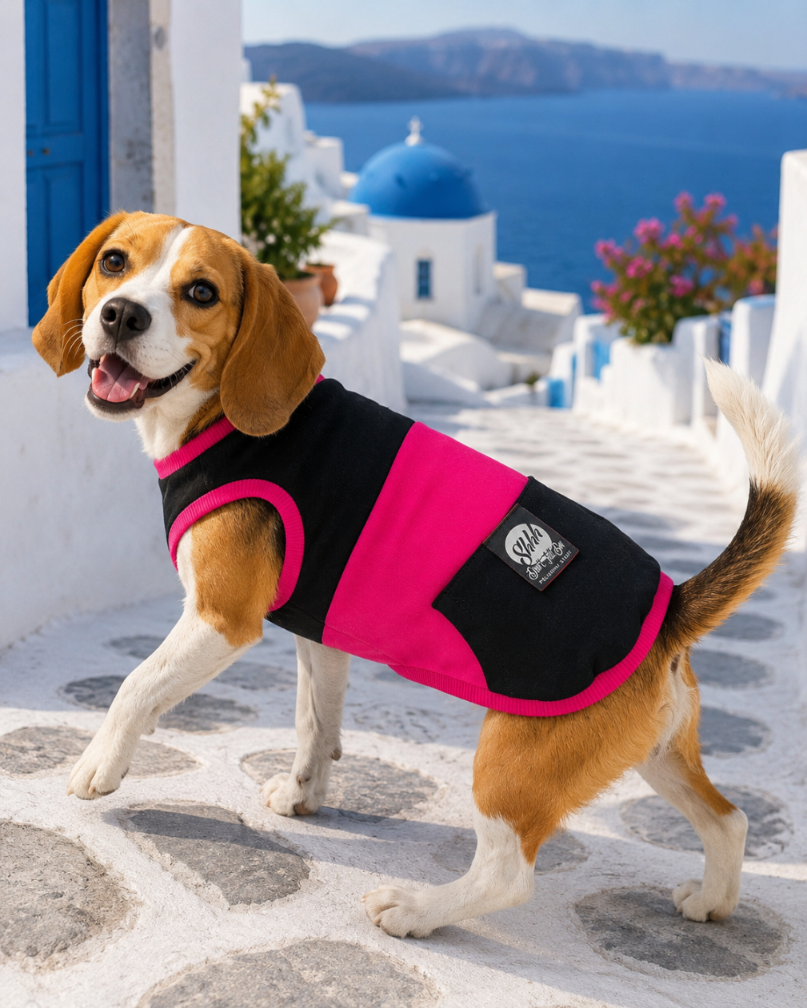 DOGWEAR 1 Black/Fuchsia  - Shhh - dres dla Psa