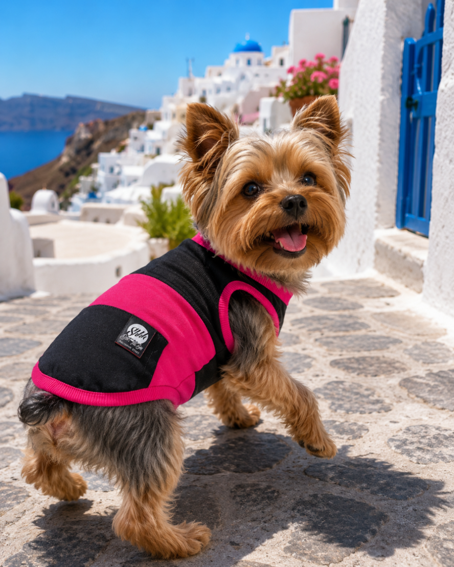 DOGWEAR 1 Black/Fuchsia  - Shhh - dres dla Psa